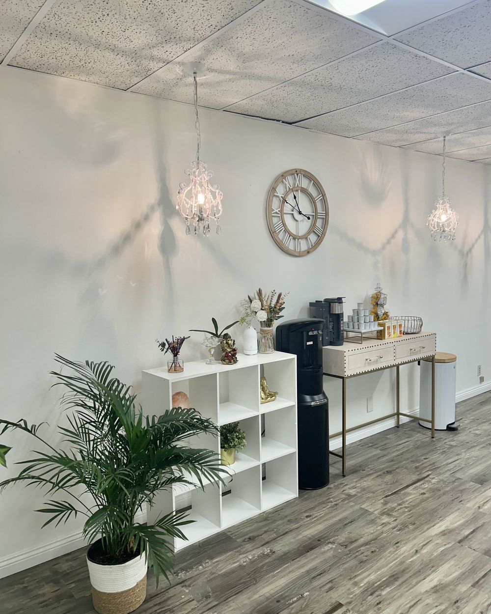 Shelving in the office with the water dispenser and plants